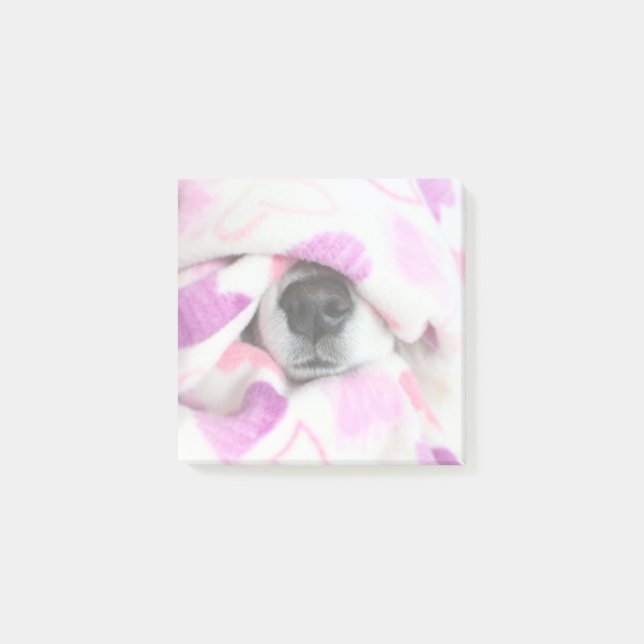 Dog Nose Post It Notes (Front)