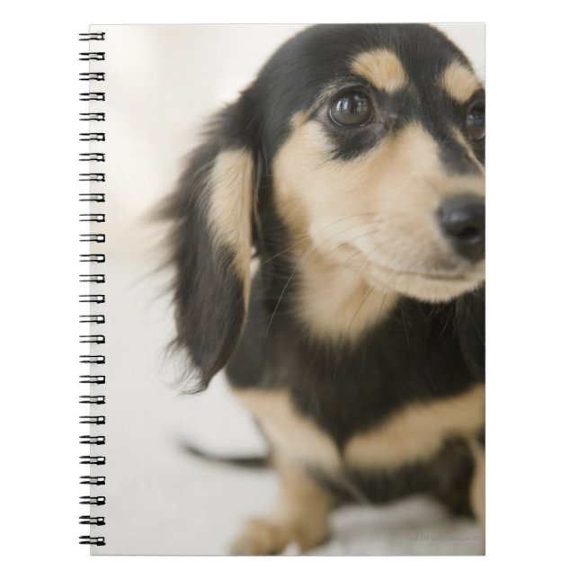 Dog Notebook (Front)