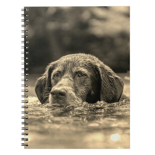 Dog Notebook (Front)