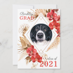 Dog Obedience Class Graduation  Announcement