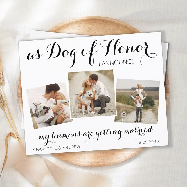 Dog Of Honor Wedding Save The Date Postcard (Creator Uploaded)