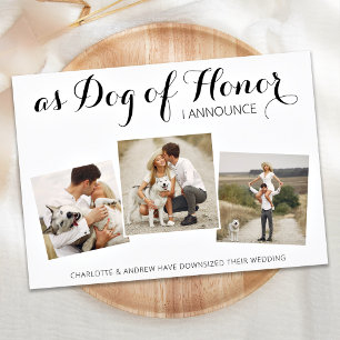 Dog Of Honour Change Of Plans Wedding Announcement