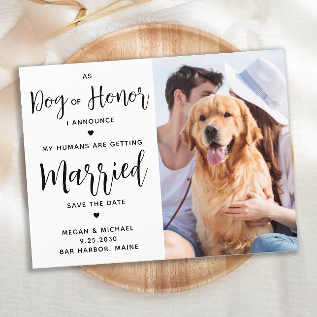 Dog Of Honour Dog Wedding Save The Date Announcement Postcard (Creator Uploaded)
