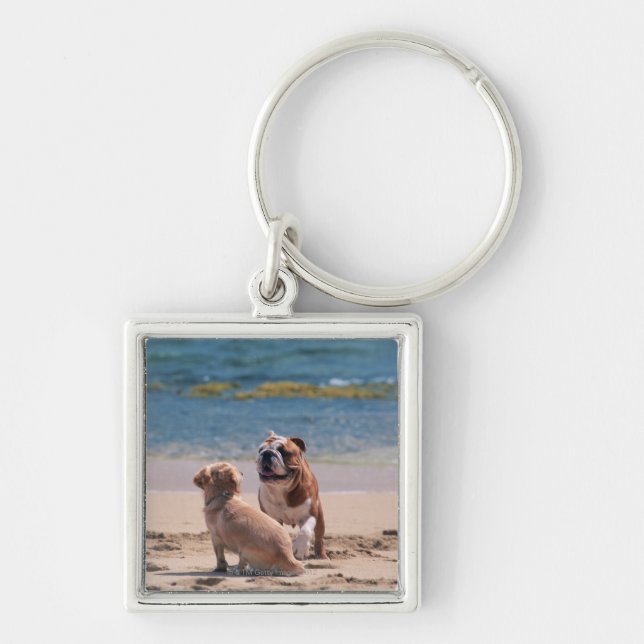 Dog of Sandy Beach Key Ring (Front)