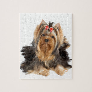 Dog of show class jigsaw puzzle