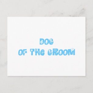 Dog of the Groom Postcard