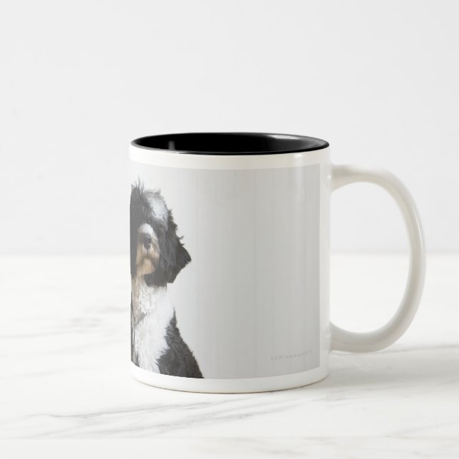 dog on a leash Two-Tone coffee mug (Right)