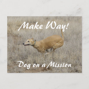 Dog on a Mission Postcard