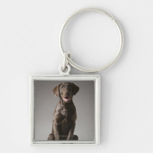 dog on a pedestal key ring