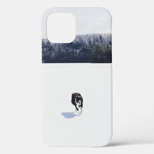 DOG ON A SNOWY PLAIN Case-Mate iPhone CASE (Back)