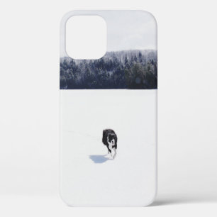 DOG ON A SNOWY PLAIN iPhone 12 CASE