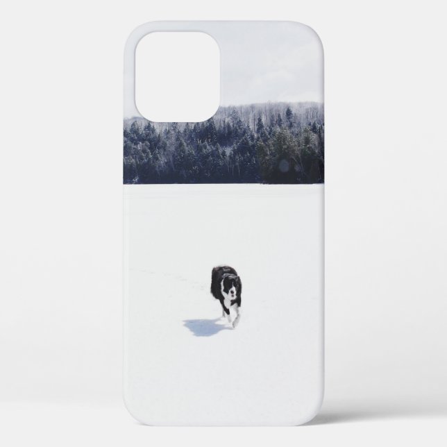 DOG ON A SNOWY PLAIN Case-Mate iPhone CASE (Back)