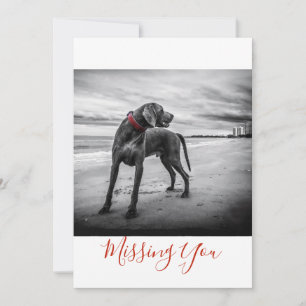 Dog on Beach B&W Photo Missing You One Page Card