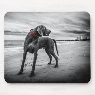 Dog on Beach Black & White Photo with Red Collar Mouse Pad