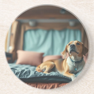 Dog on Bed Coaster