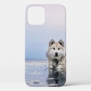 DOG ON CALM BODY OF WATER iPhone 12 CASE
