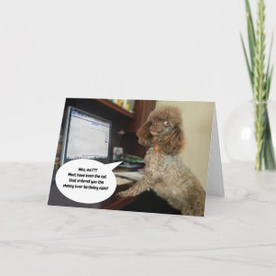 Dog on Computer, Blames Cat Funny Birthday Card