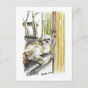 Dog on Couch Postcards