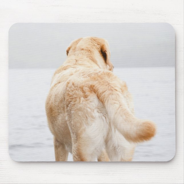 Dog on dock mouse pad (Front)