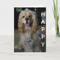 "DOG-ON GOOD BIRTHDAY" says COCKER SPANIEL