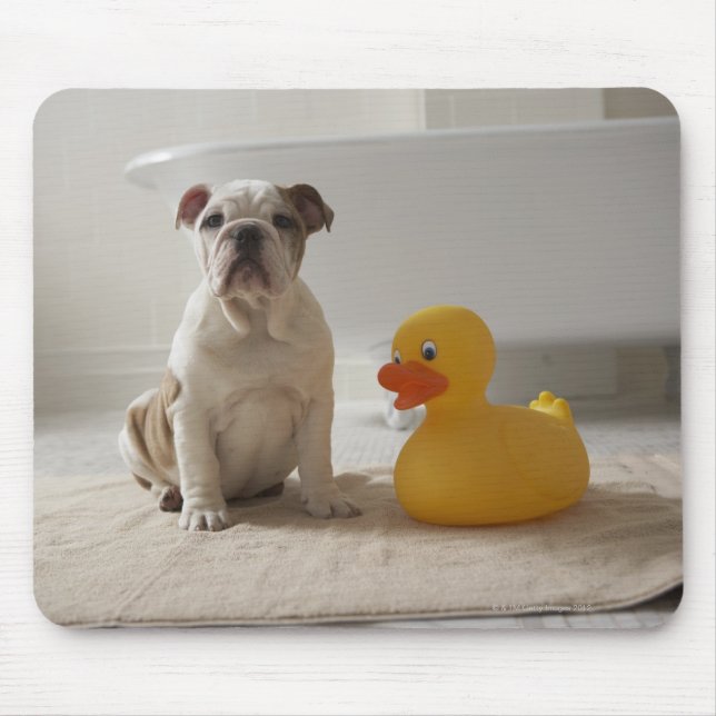 Dog on mat with plastic duck mouse pad (Front)