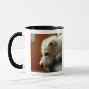 Dog on office chair mug