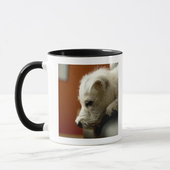 Dog on office chair mug (Left)