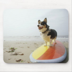 Dog on surfboard mouse pad