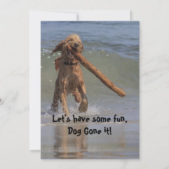 Dog on the Beach Invitation (Front)