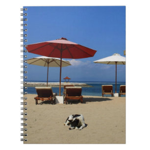 Dog on the beach notebook