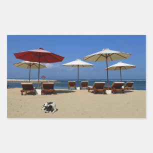 Dog on the beach rectangular sticker