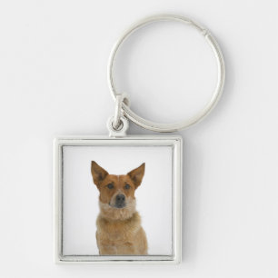 Dog on White 01 Key Ring
