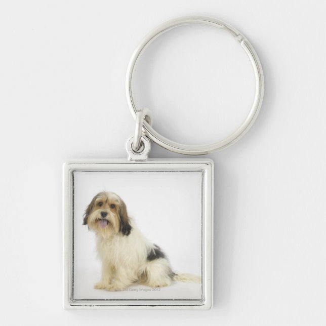 Dog on White 104 Key Ring (Front)