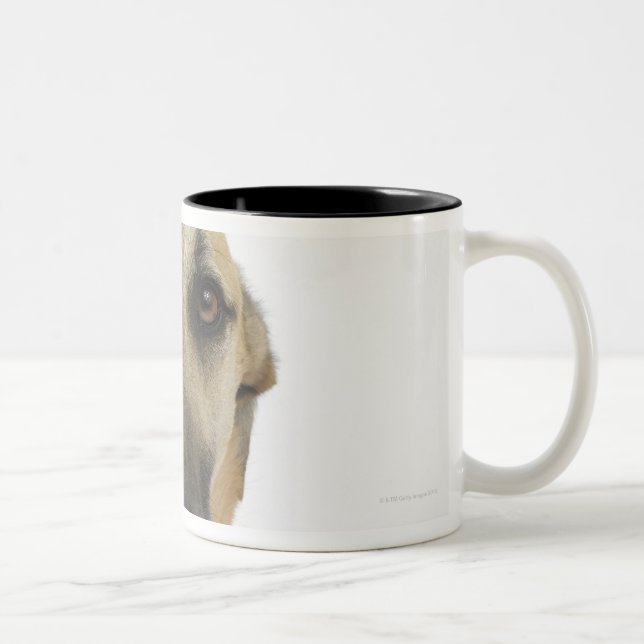 Dog on White 41 Two-Tone Coffee Mug (Right)