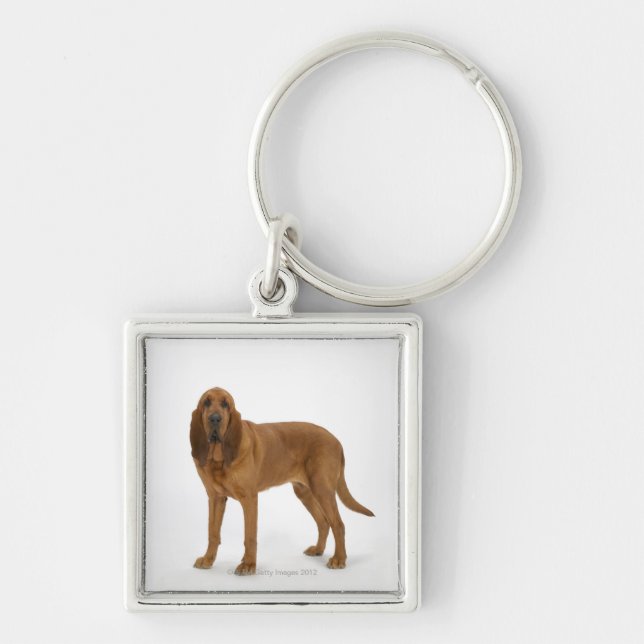 Dog on White 97 Key Ring (Front)