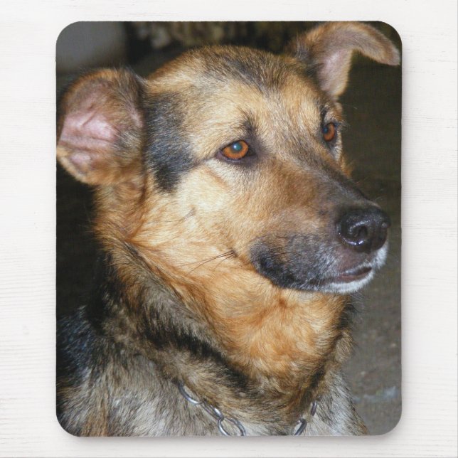 Dog pad mouse pad (Front)