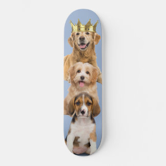 Dog pappy skateboard
