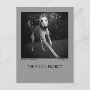 Dog Park Postcard 11