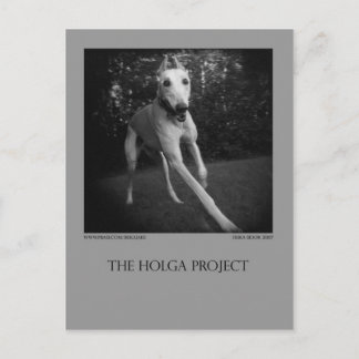 Dog Park Postcard 11