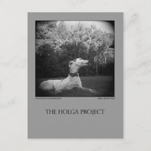 Dog Park Postcard 12