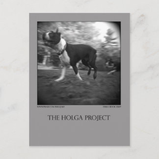 Dog Park Postcard 15