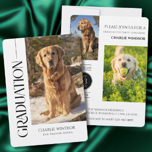 Dog Party Invitate Pet Photos Black Graduation Invitation