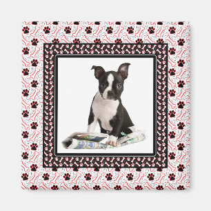 Dog Paw and Bone Pet Photo Template Magnet