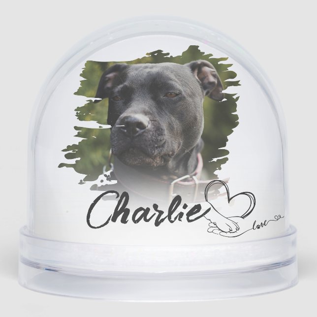 Dog Paw & Hand Typography Pet's Photo Grunge  Snowglobe (Front)