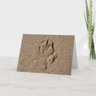 Dog Paw Print in Sand Card