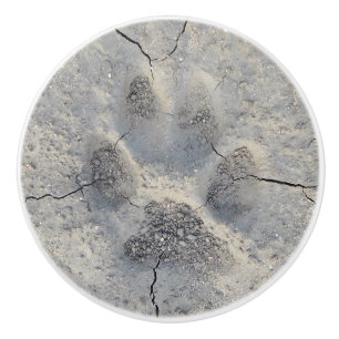 Dog paw print photo knob