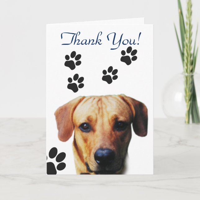 Dog Paw Print Thank you Card (Front)