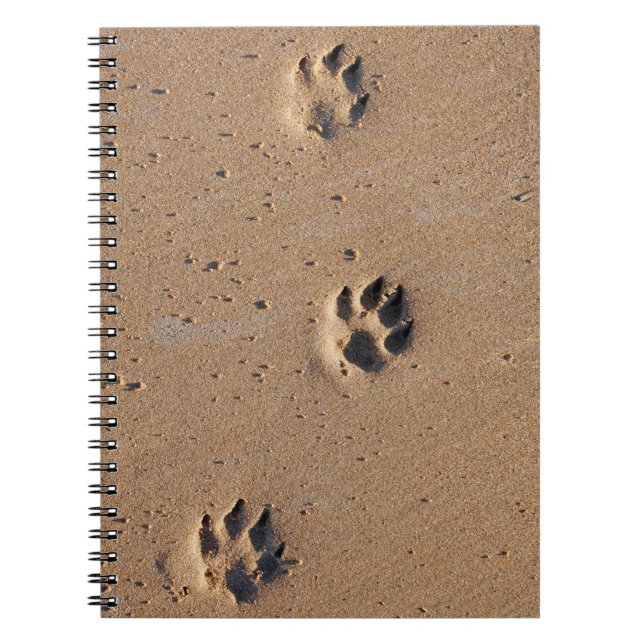 Dog paw prints on a sandy beach notebook (Front)