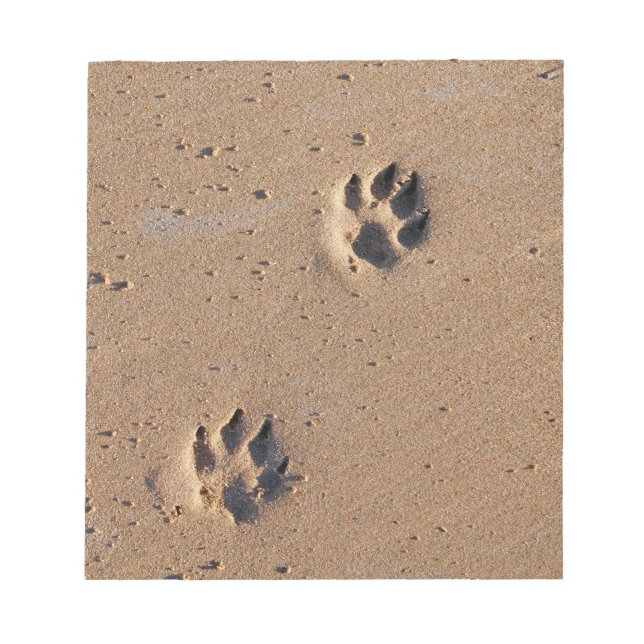Dog paw prints on a sandy beach notepad (Front)