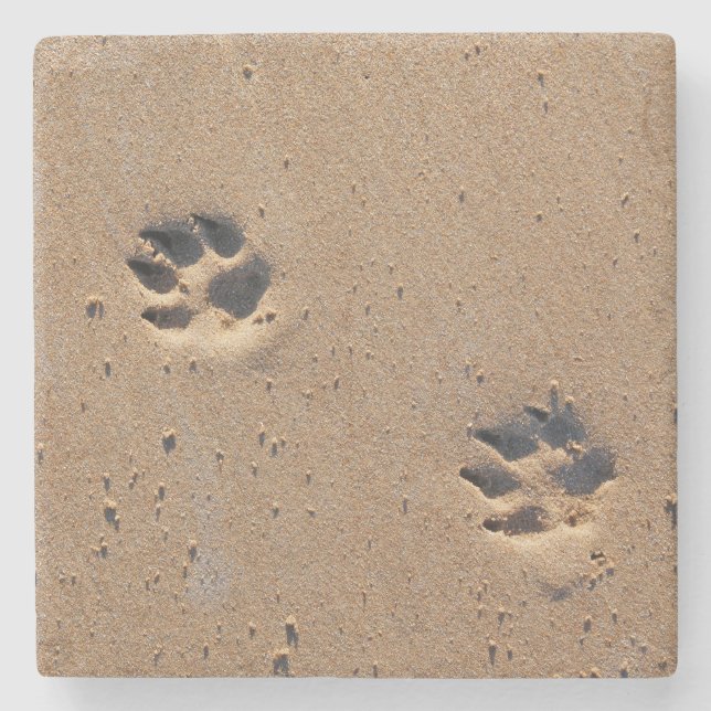 Dog paw prints on a sandy beach stone coaster (Front)